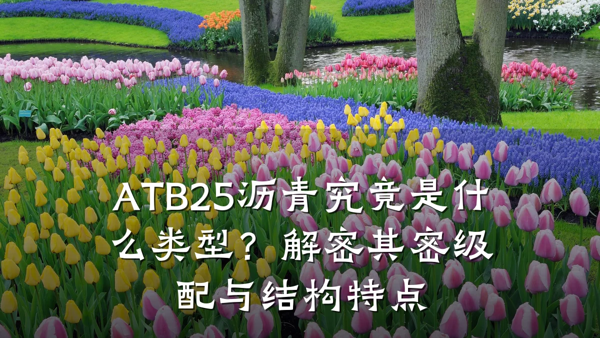 ATB25沥青究竟是什么类型？解密其密级配与结构特点