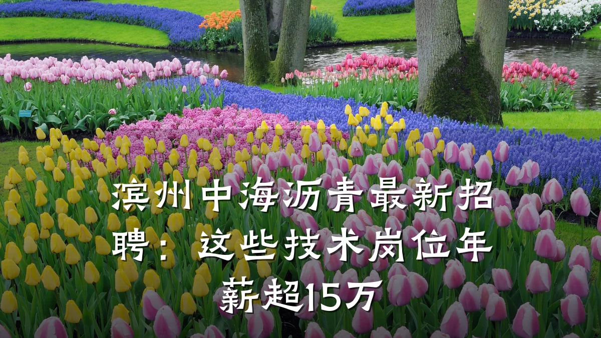 滨州中海沥青最新招聘：这些技术岗位年薪超15万