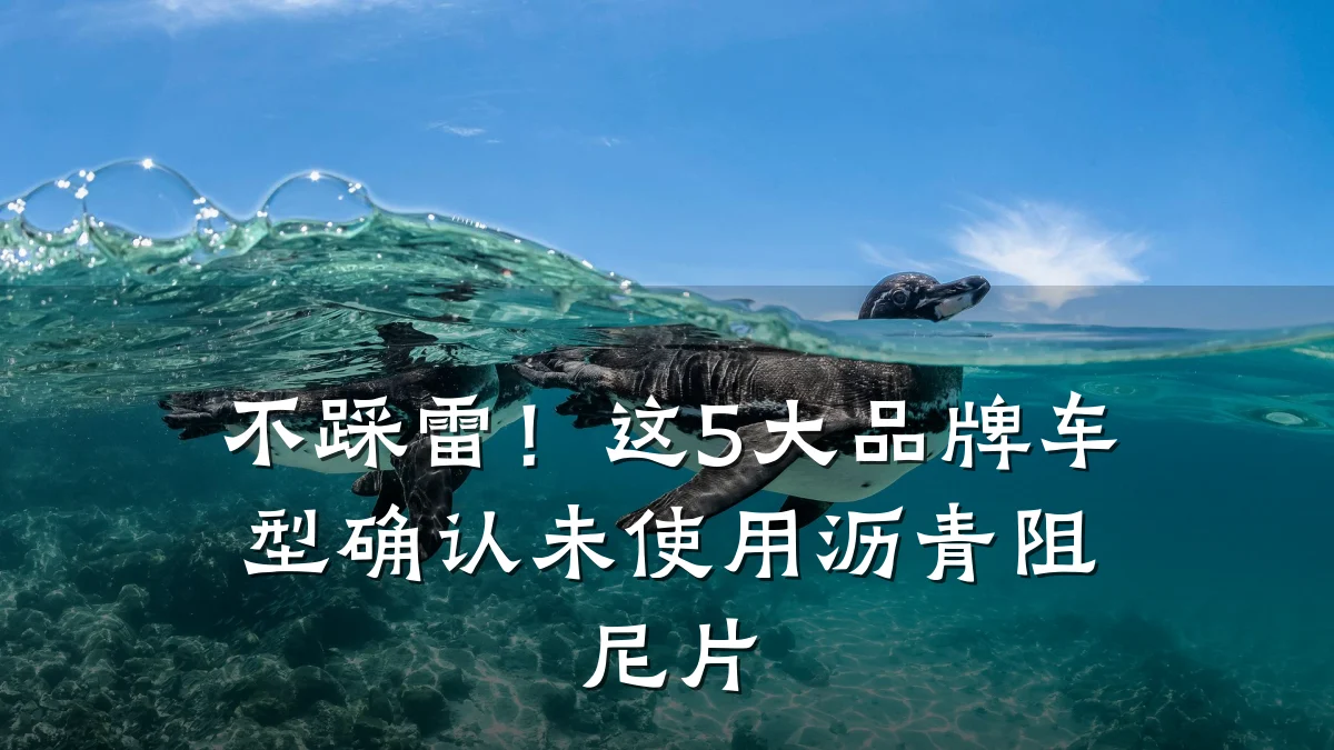 不踩雷！这5大品牌车型确认未使用沥青阻尼片