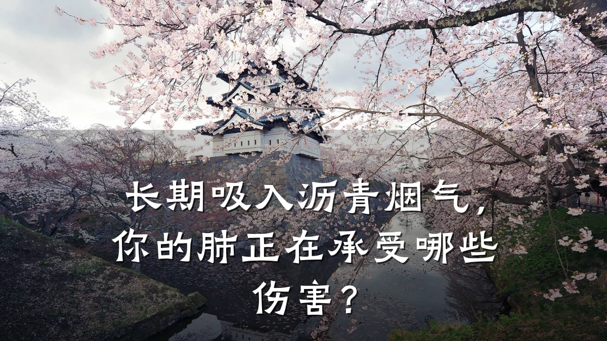 长期吸入沥青烟气,你的肺正在承受哪些伤害?
