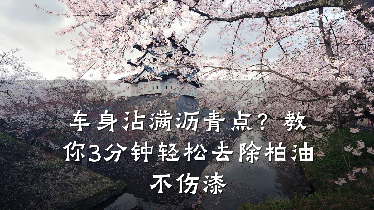 车身沾满沥青点？教你3分钟轻松去除柏油不伤漆