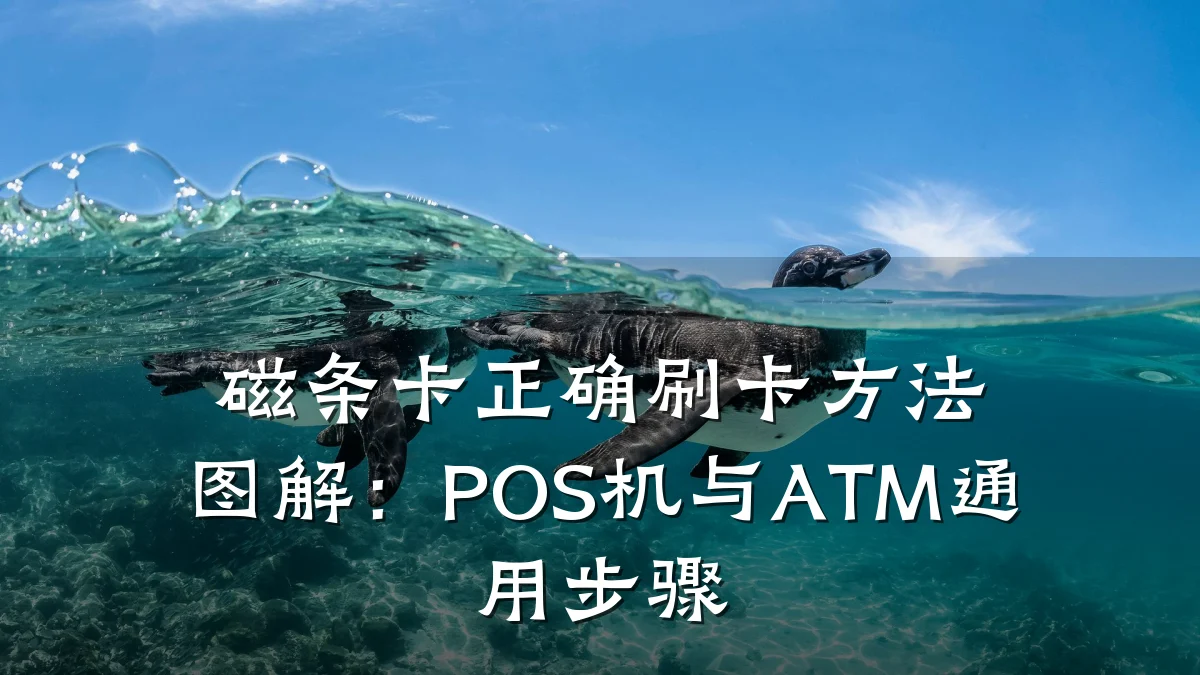 磁条卡正确刷卡方法图解：POS机与ATM通用步骤