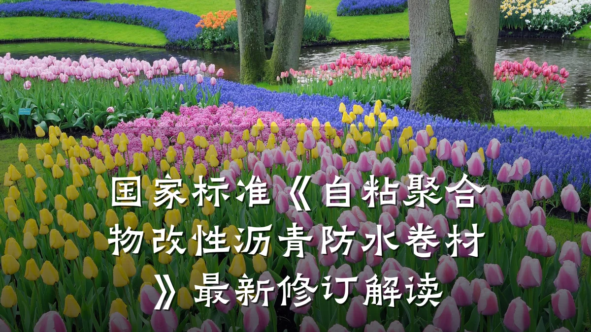 国家标准《自粘聚合物改性沥青防水卷材》最新修订解读