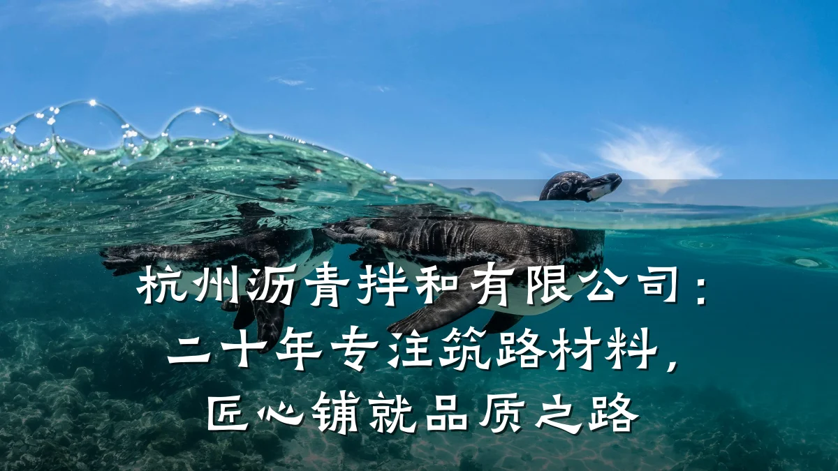 杭州沥青拌和有限公司：二十年专注筑路材料，匠心铺就品质之路