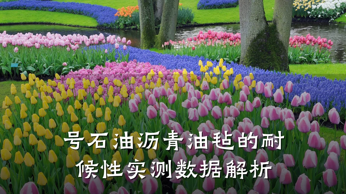 号石油沥青油毡的耐候性实测数据解析
