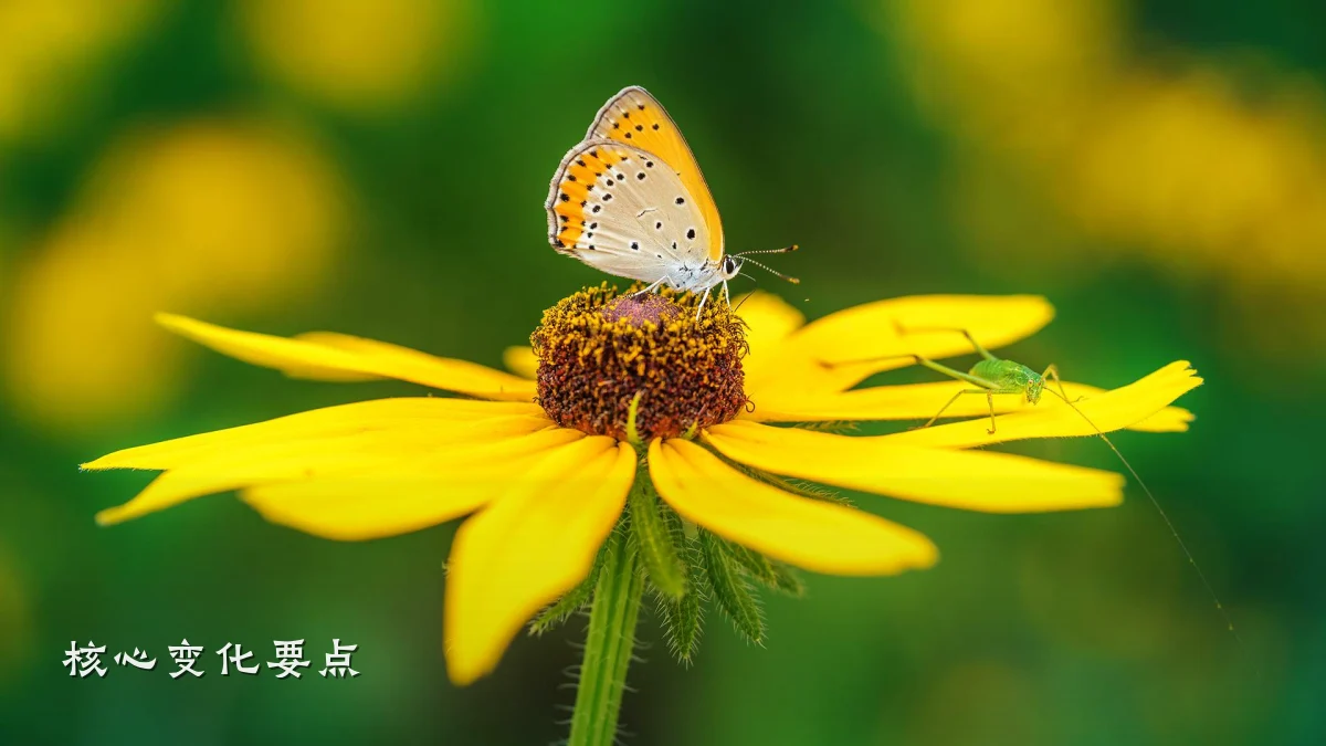 核心变化要点
