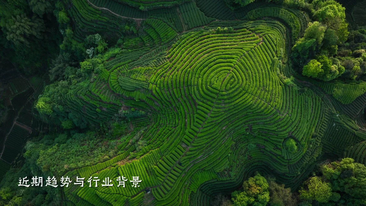 近期趋势与行业背景