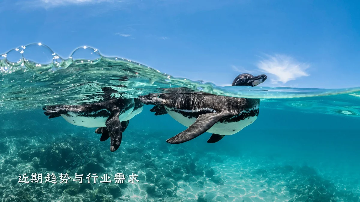近期趋势与行业需求