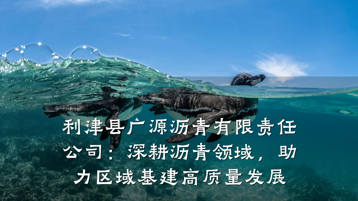 利津县广源沥青有限责任公司：深耕沥青领域，助力区域基建高质量发展
