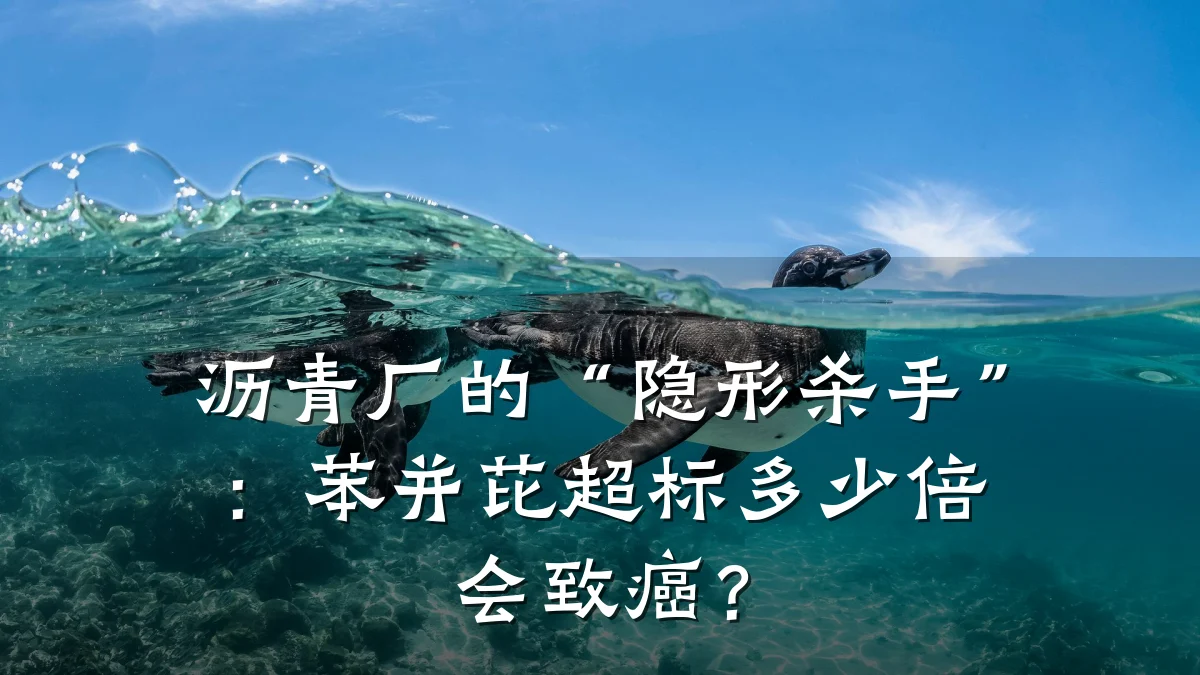 沥青厂的“隐形杀手”：苯并芘超标多少倍会致癌？