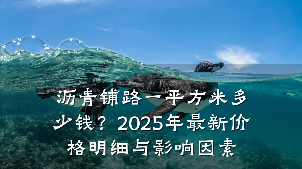 沥青铺路一平方米多少钱？2025年最新价格明细与影响因素