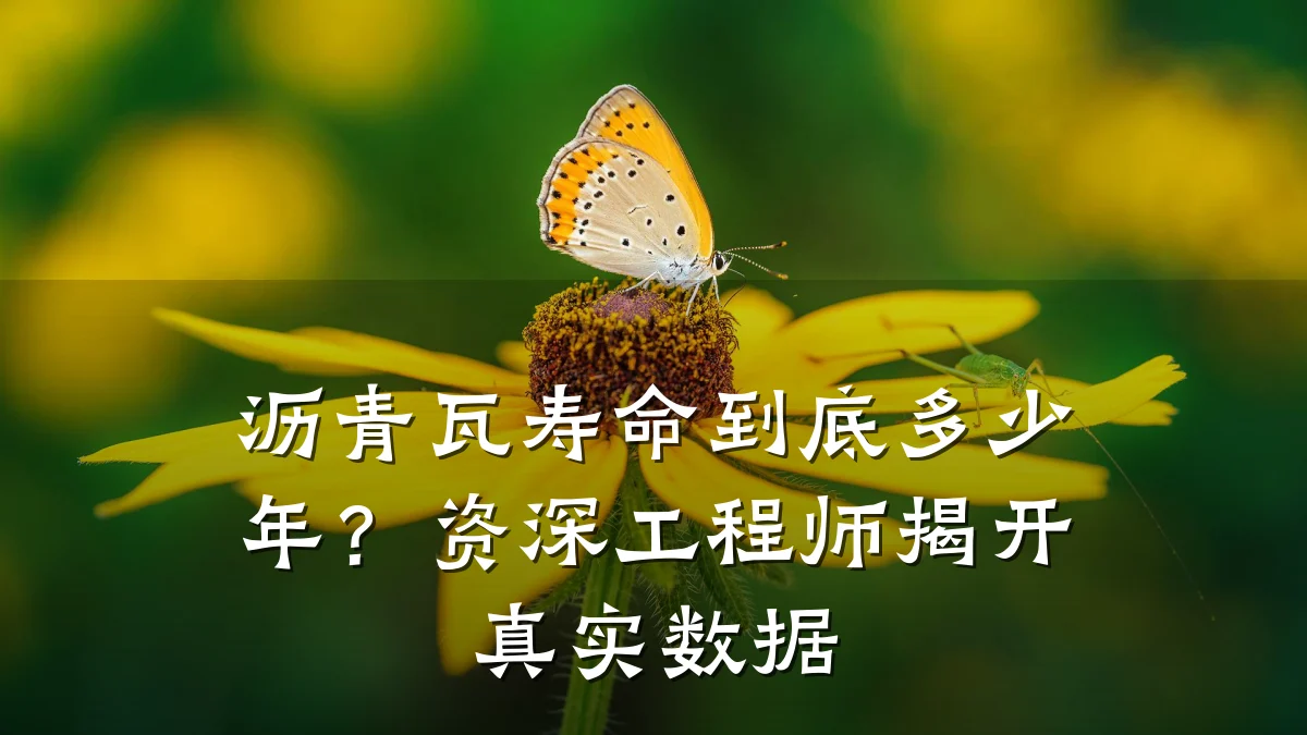 沥青瓦寿命到底多少年?资深工程师揭开真实数据