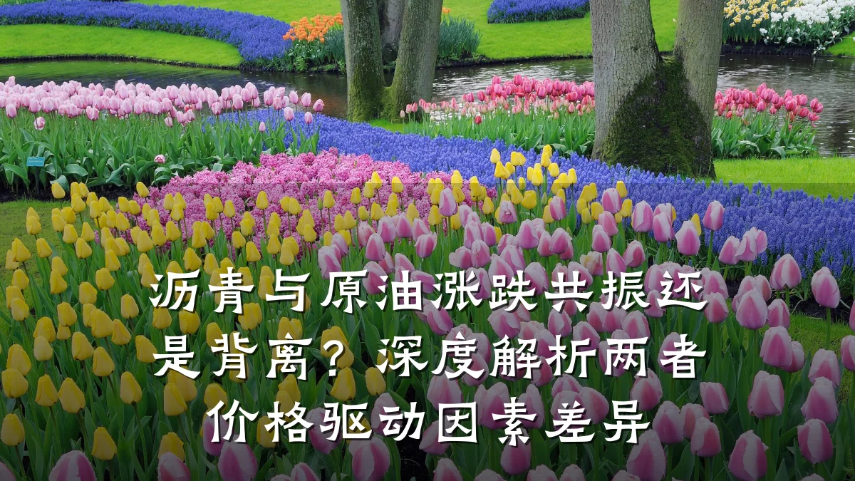 沥青与原油涨跌共振还是背离？深度解析两者价格驱动因素差异