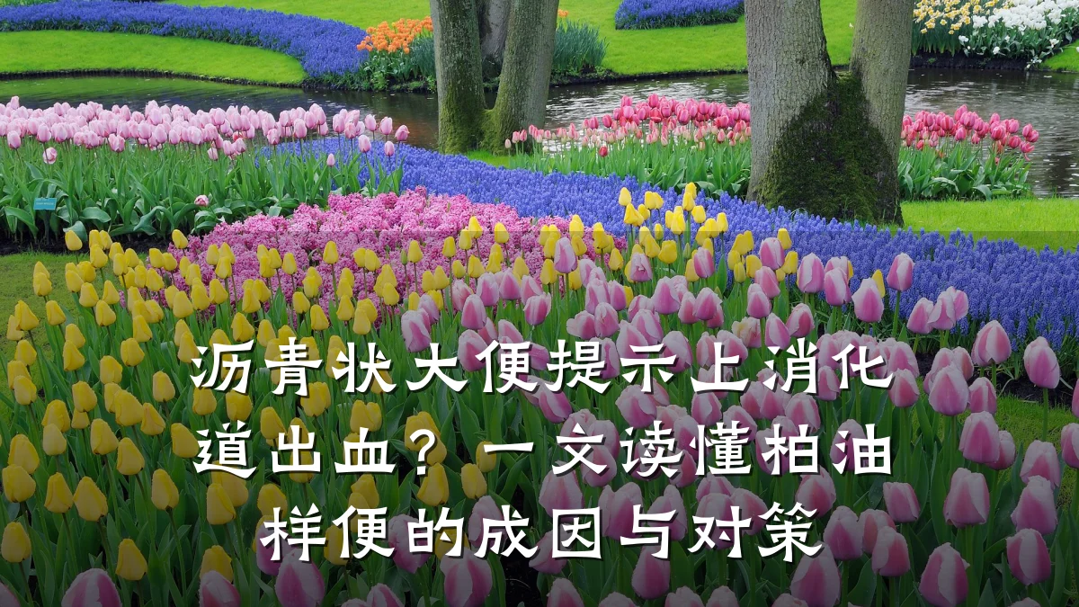 沥青状大便提示上消化道出血？一文读懂柏油样便的成因与对策