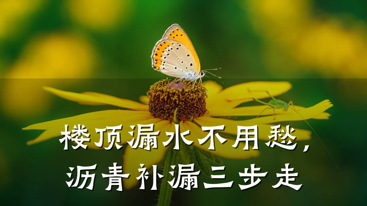 楼顶漏水不用愁,沥青补漏三步走