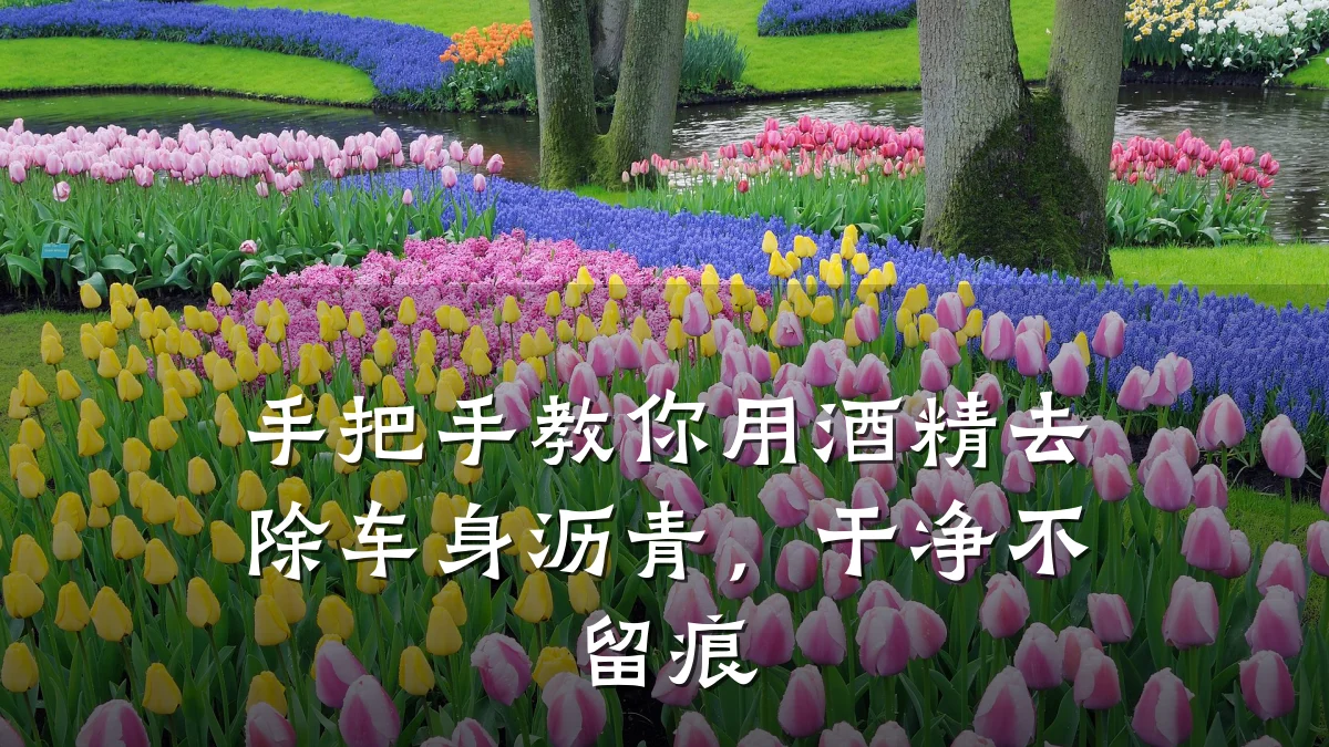 手把手教你用酒精去除车身沥青,干净不留痕