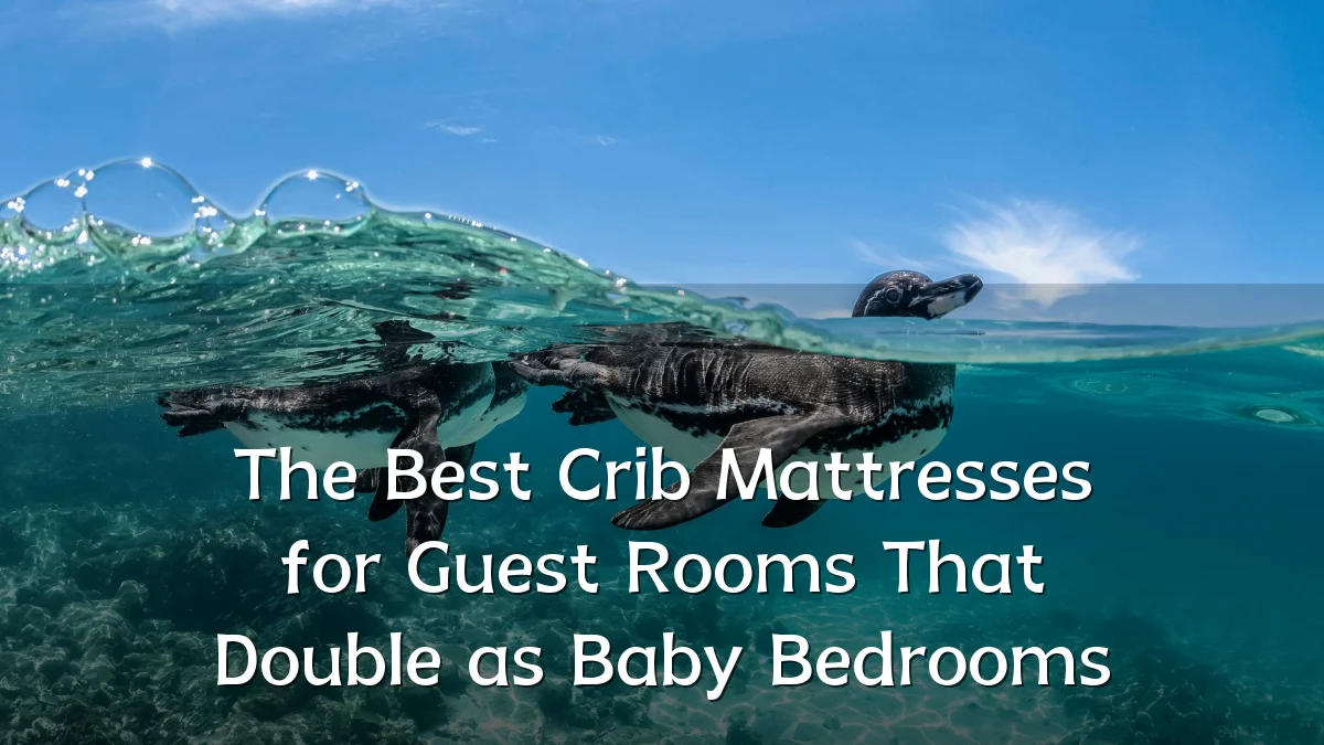 The Best Crib Mattresses for Guest Rooms That Double as Baby Bedrooms