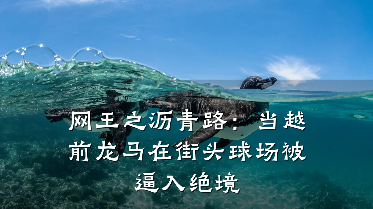 网王之沥青路:当越前龙马在街头球场被逼入绝境