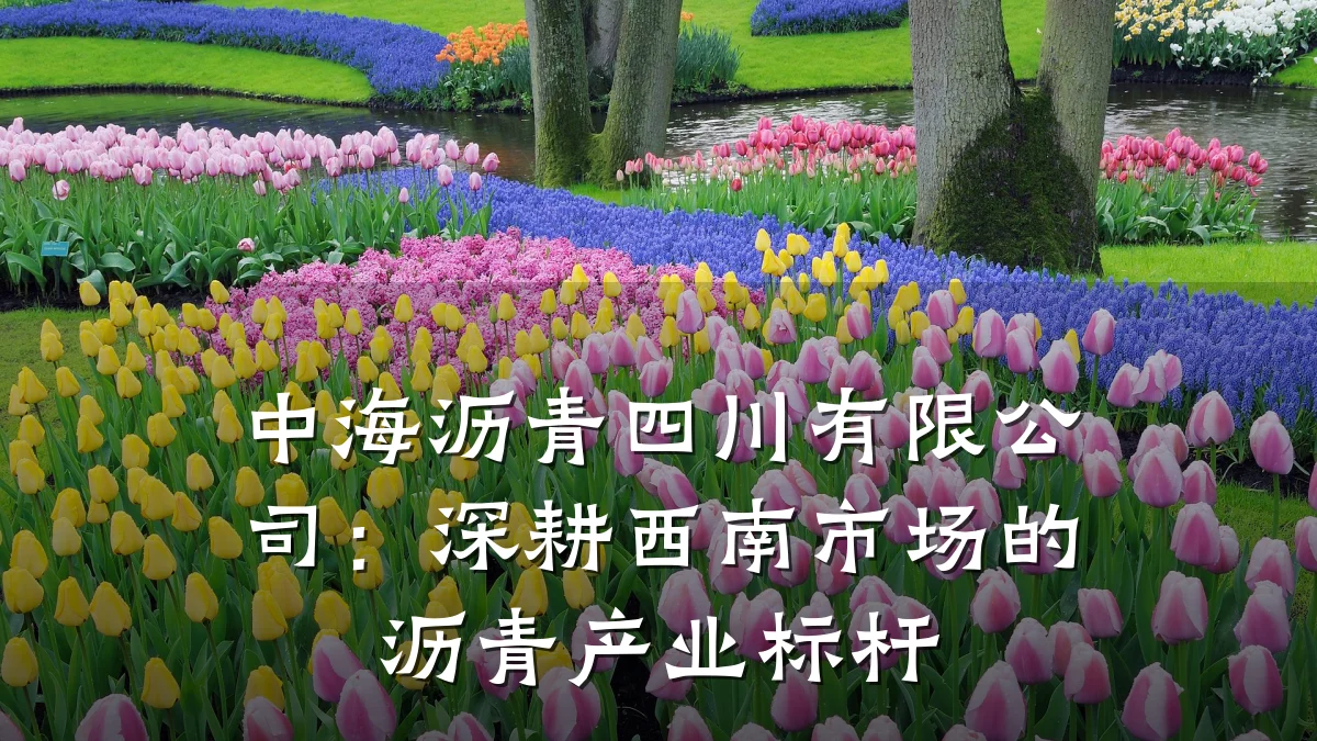 中海沥青四川有限公司:深耕西南市场的沥青产业标杆