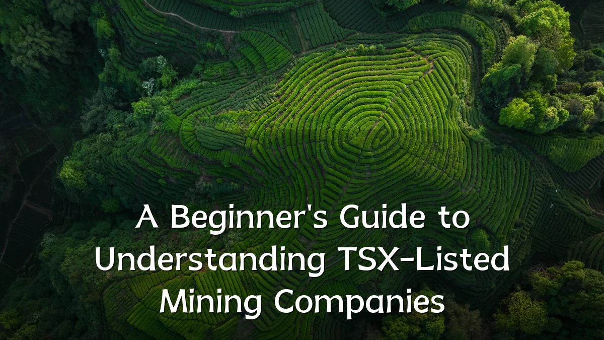 A Beginner's Guide to Understanding TSX-Listed Mining Companies