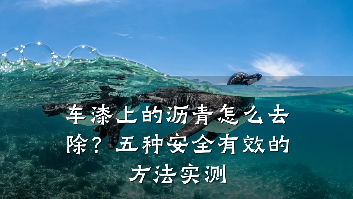 车漆上的沥青怎么去除?五种安全有效的方法实测