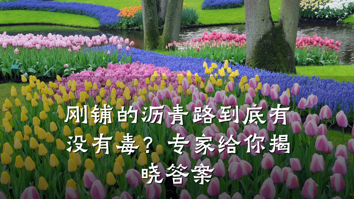 刚铺的沥青路到底有没有毒？专家给你揭晓答案