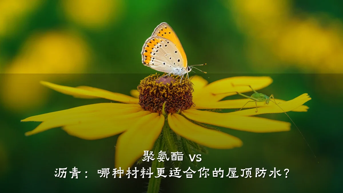 聚氨酯 vs 沥青:哪种材料更适合你的屋顶防水?
