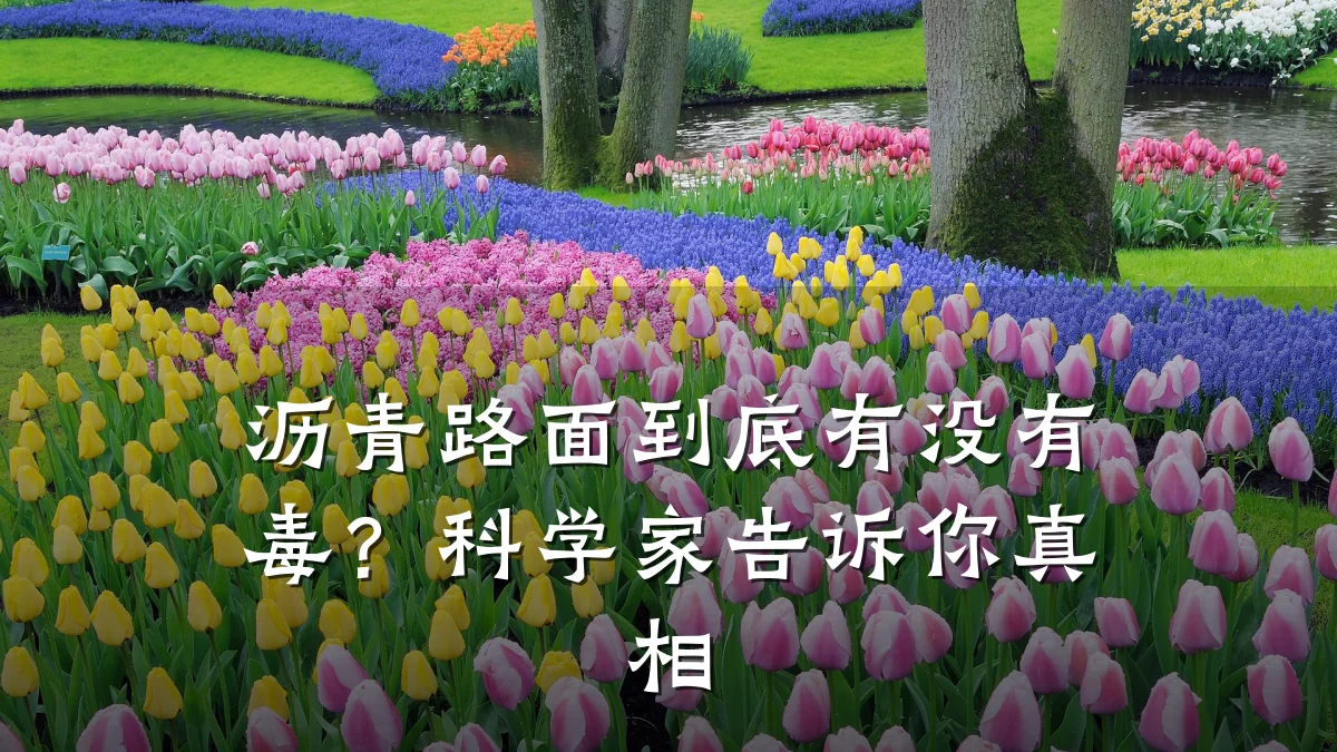 沥青路面到底有没有毒?科学家告诉你真相