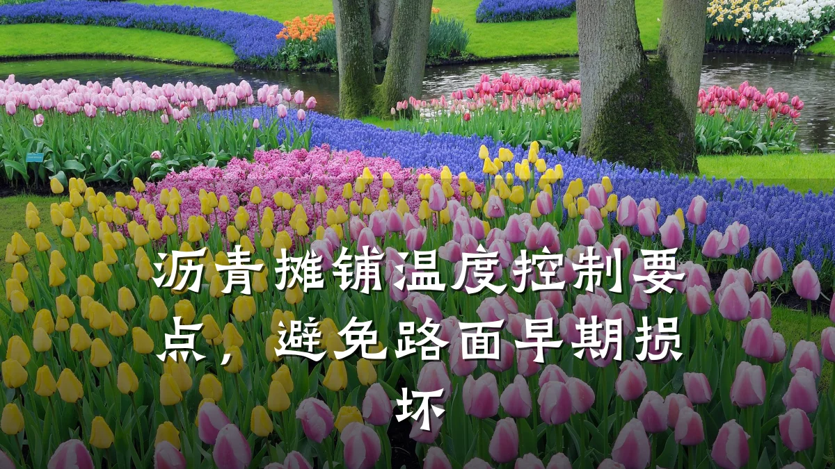 沥青摊铺温度控制要点,避免路面早期损坏