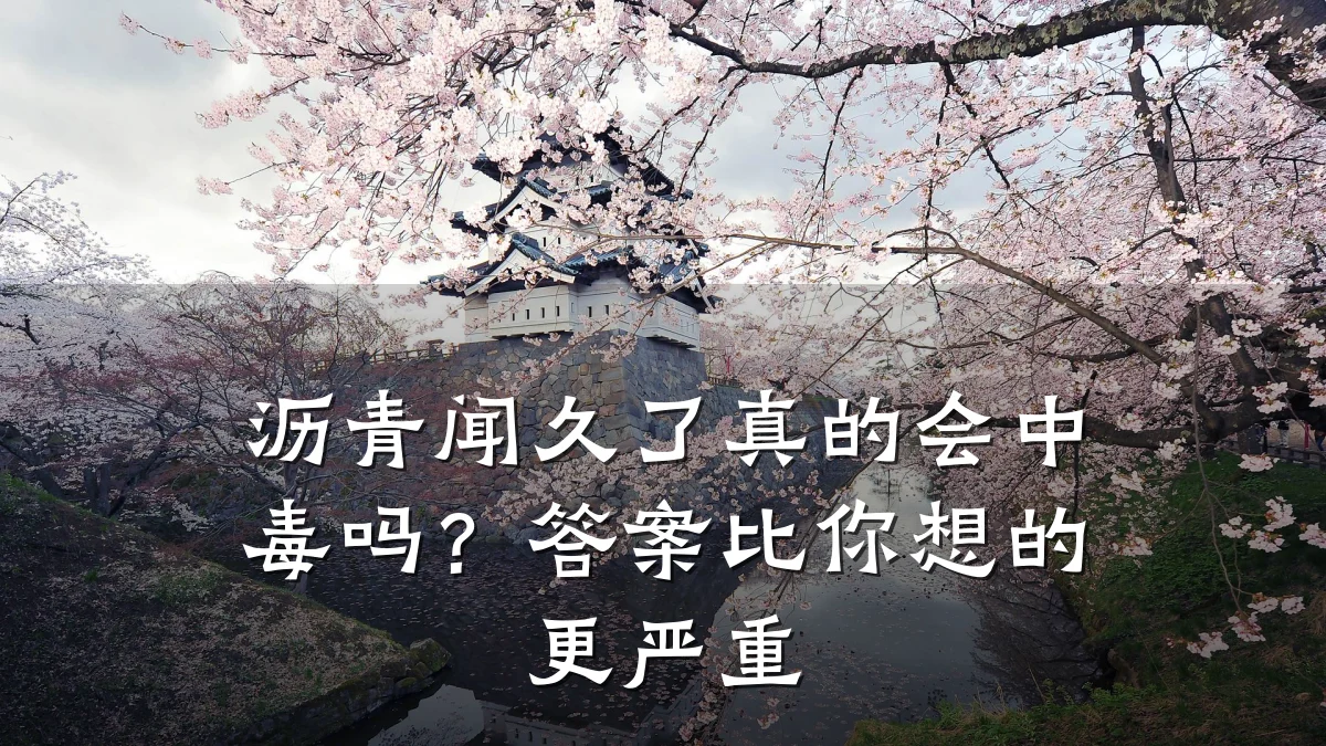 沥青闻久了真的会中毒吗？答案比你想的更严重