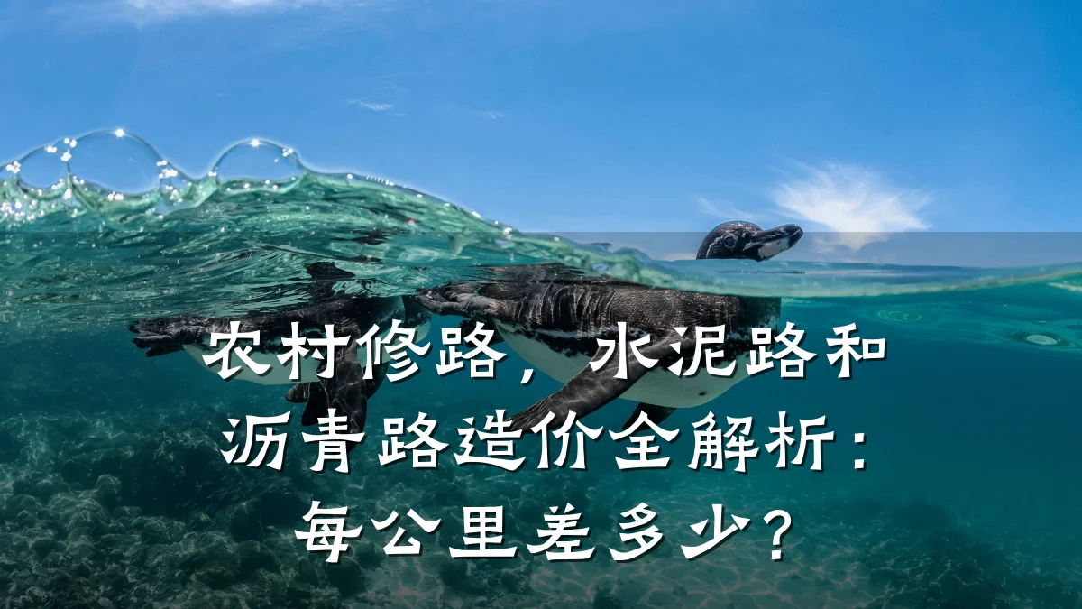 农村修路，水泥路和沥青路造价全解析：每公里差多少？