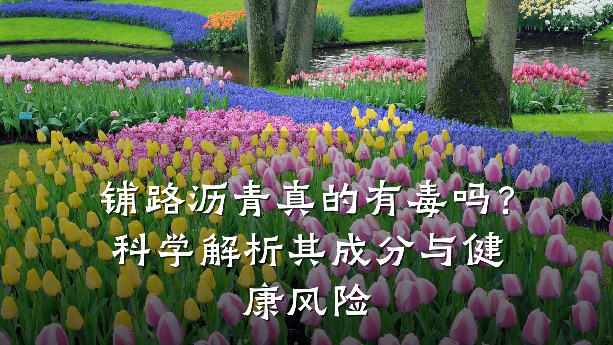 铺路沥青真的有毒吗?科学解析其成分与健康风险