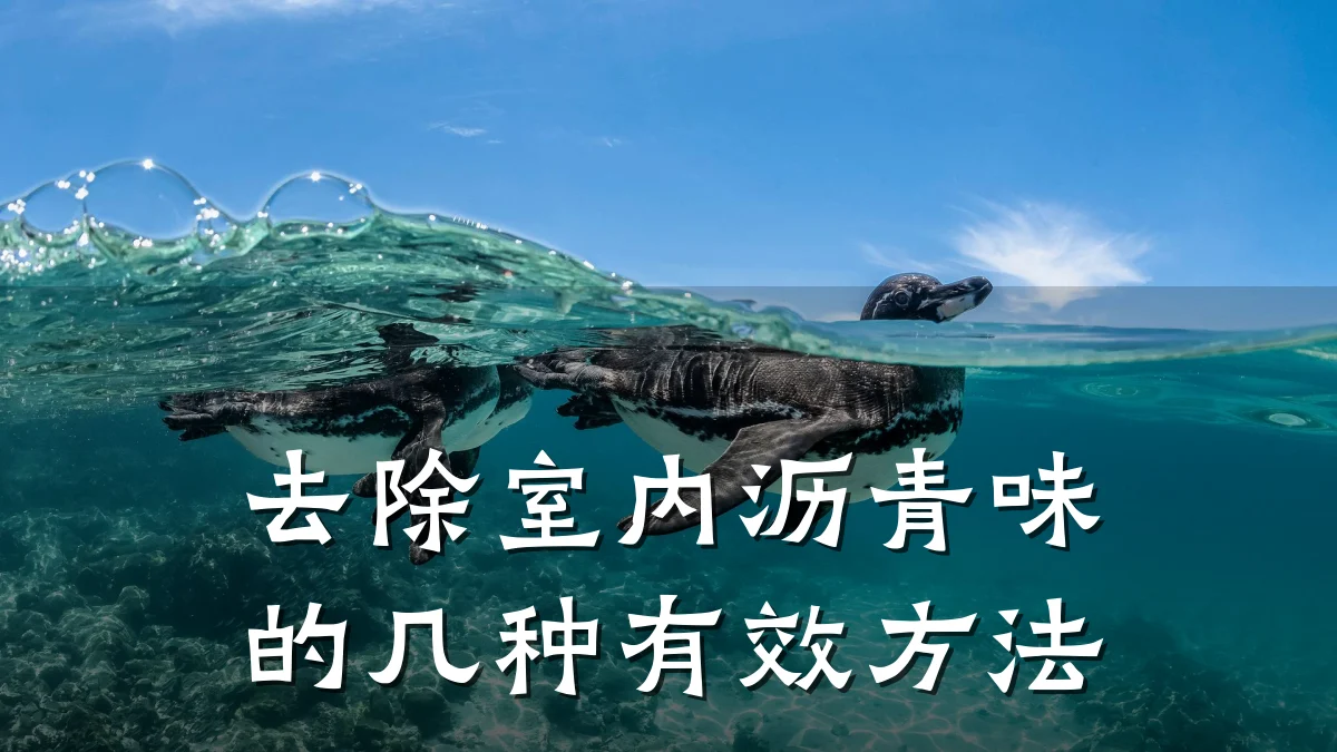去除室内沥青味的几种有效方法
