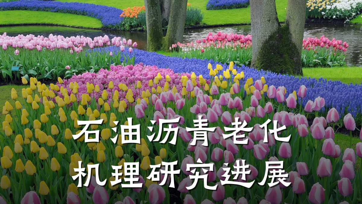 石油沥青老化机理研究进展