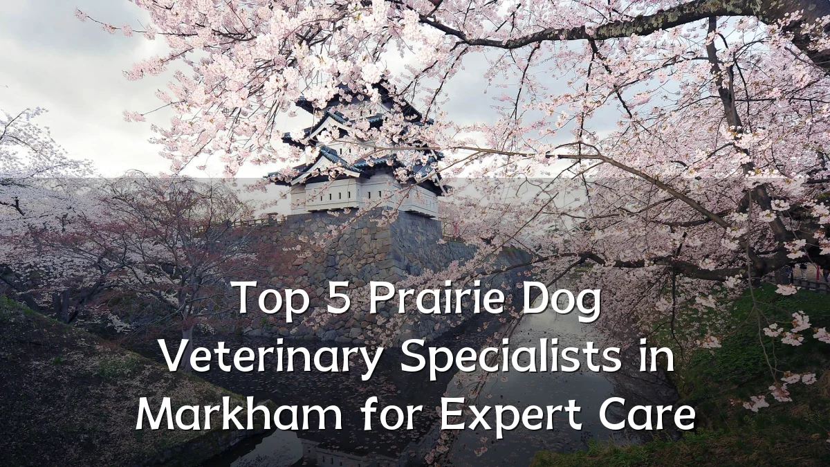 Top 5 Prairie Dog Veterinary Specialists in Markham for Expert Care