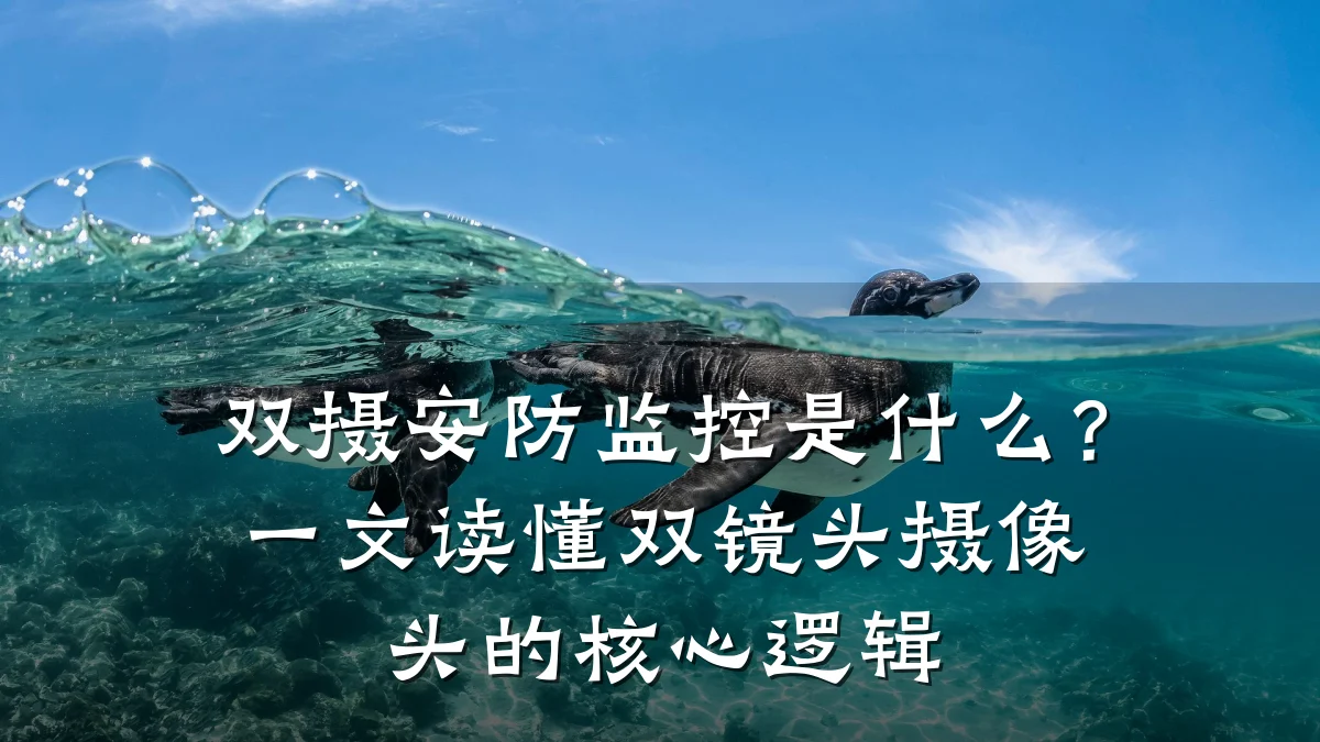 双摄安防监控是什么?一文读懂双镜头摄像头的核心逻辑