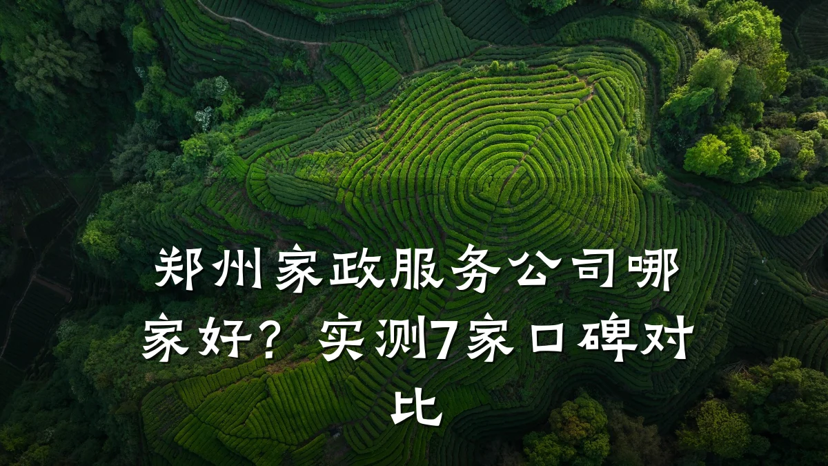 郑州家政服务公司哪家好？实测7家口碑对比