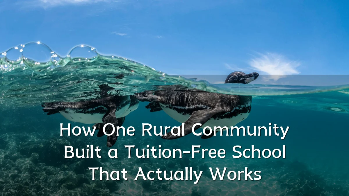 How One Rural Community Built a Tuition-Free School That Actually Works