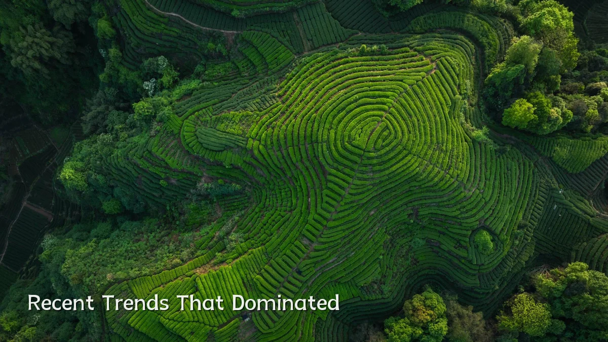Recent Trends That Dominated