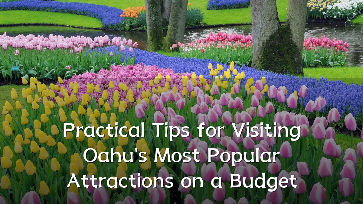 Practical Tips for Visiting Oahu's Most Popular Attractions on a Budget