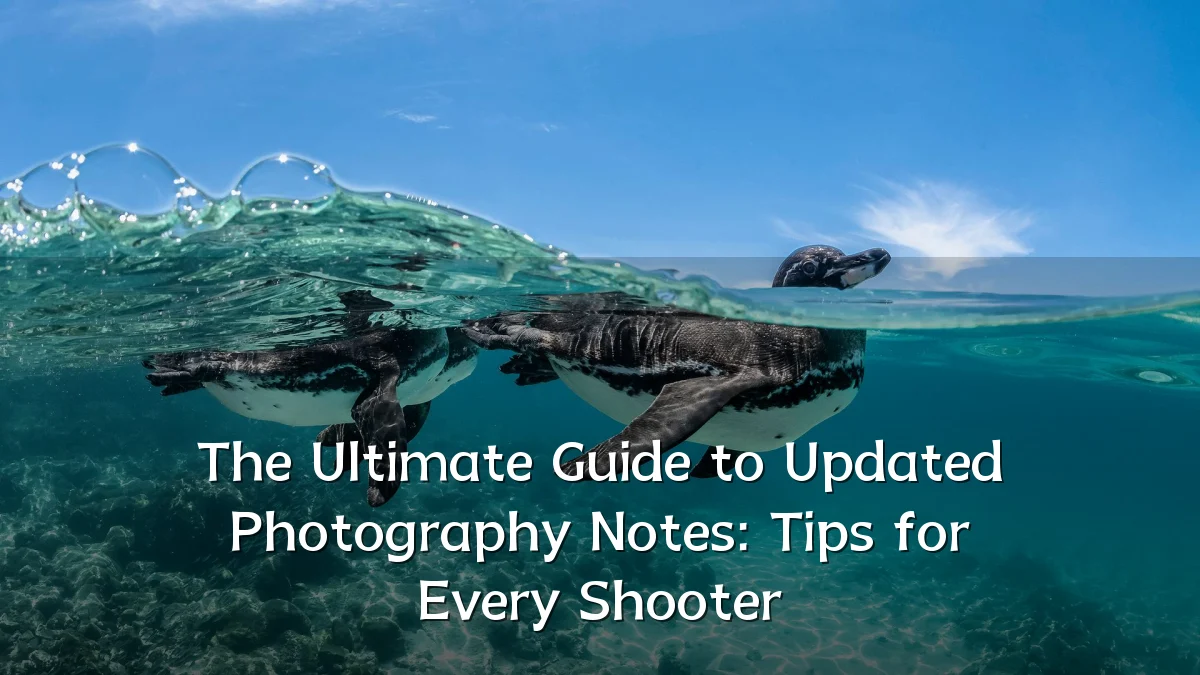 The Ultimate Guide to Updated Photography Notes: Tips for Every Shooter