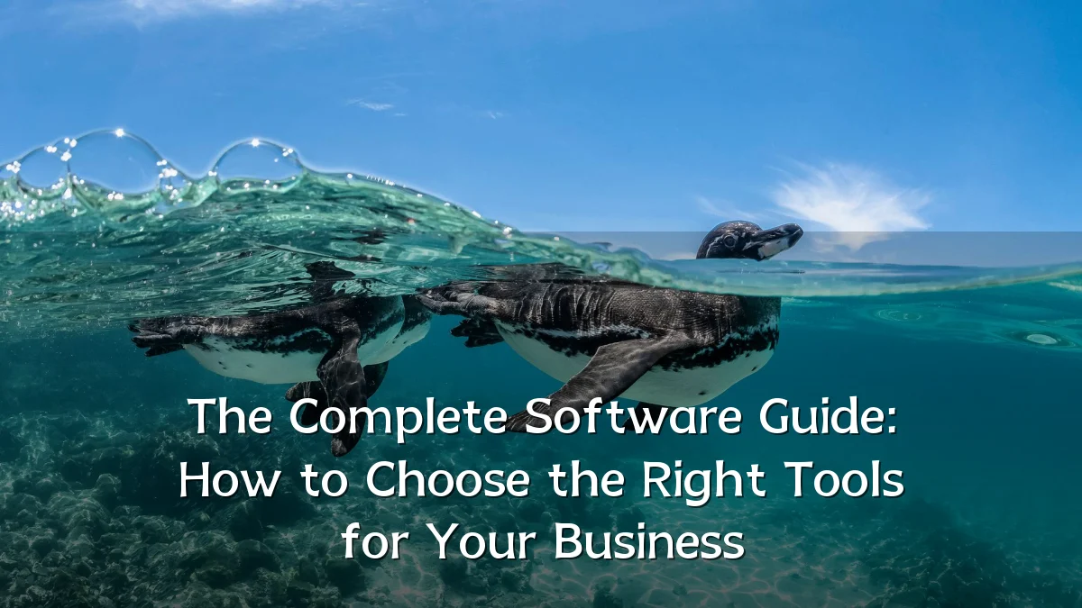 The Complete Software Guide: How to Choose the Right Tools for Your Business