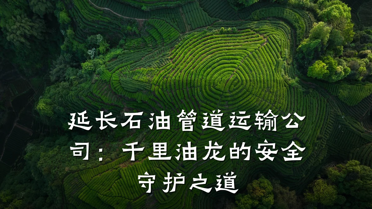 延长石油管道运输公司：千里油龙的安全守护之道