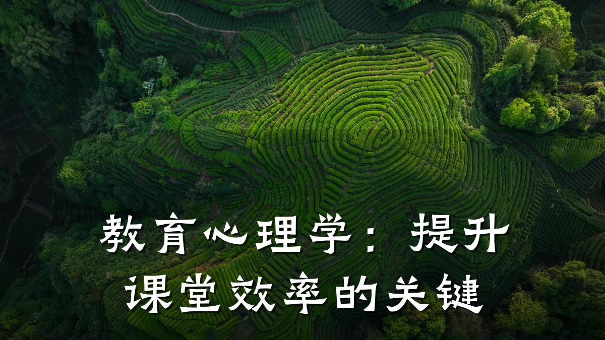 教育心理学：提升课堂效率的关键