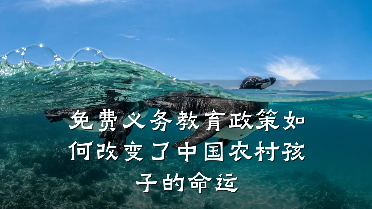 免费义务教育政策如何改变了中国农村孩子的命运