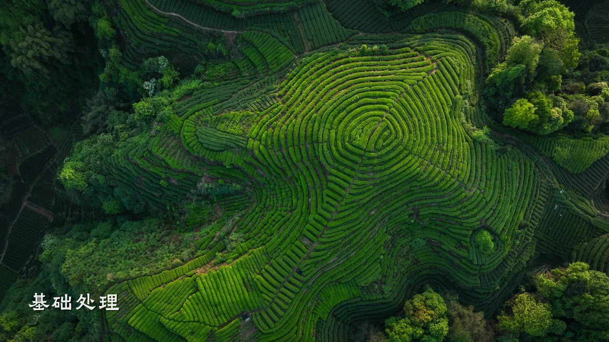 基础处理