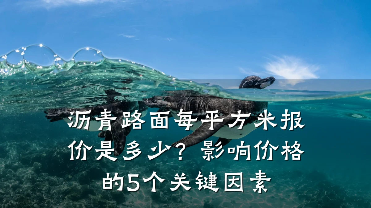 沥青路面每平方米报价是多少？影响价格的5个关键因素