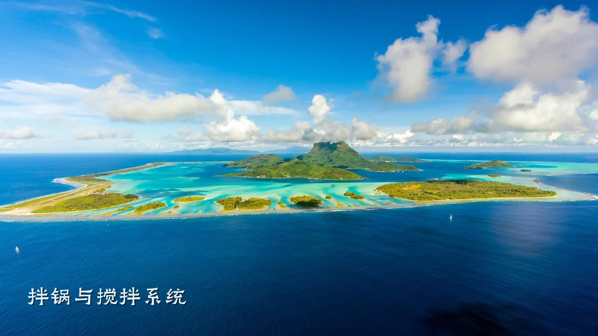 拌锅与搅拌系统